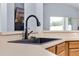 Close-up of kitchen sink area with a modern faucet and countertop at 239 Bronze Leaf Ct, Apopka, FL 32703