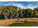 Aerial view of a dock and tranquil waterfront surrounded by lush trees and grassy marsh at 3111 Indian Trl, Eustis, FL 32726