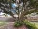 Backyard featuring an established tree and manicured plant life at 380 Banyan Dr, Maitland, FL 32751