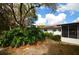 Landscaped backyard featuring various trees and plant life at 380 Banyan Dr, Maitland, FL 32751