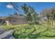Lush backyard featuring healthy grass, partial shade, and a view of the home's exterior at 4155 Westgate Rd, Orlando, FL 32808