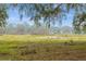 Lush green backyard featuring mature trees and natural irrigation system at 5117 Cr 316A, Bushnell, FL 33513