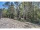 This backyard features a view of the wooded area at 1025 Sandy Ridge Dr, Davenport, FL 33896