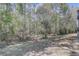 This backyard features a view of the surrounding trees and natural landscaping at 1025 Sandy Ridge Dr, Davenport, FL 33896