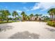 Sandy volleyball court surrounded by palm trees in a tropical setting at 13864 Sachs Ave, Orlando, FL 32827