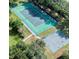 Overhead shot of a tennis court and basketball court surrounded by trees, offering a private recreational space at 8814 Southern Breeze Dr, Orlando, FL 32836