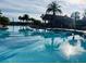 Large swimming pool with palm trees reflecting on the tranquil, turquoise water at 117 Cupania Ct, Groveland, FL 34736