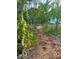 Meandering wood chip walking path surrounded by lush trees and natural foliage at 11735 Whitewing Ct # 11735, Orlando, FL 32837