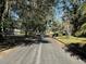 Tree lined street, creating a beautiful canopy for a quiet residential neighborhood at 506 N Rio Grande Ave, Orlando, FL 32805