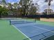 Outdoor tennis and pickleball courts with green and blue playing surfaces at 7213 Greenville Ct, Orlando, FL 32819