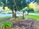 Community clubhouse sign amidst lush greenery, promoting a welcoming neighborhood atmosphere at 621 Daron Ct, Winter Springs, FL 32708