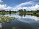 Scenic lake view with a water fountain in the distance, floating lily pads, and trees at 704 Baywood Dr, Sanford, FL 32773