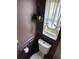 Stylish powder room featuring a decorative hanging plant and a bright window with tie-up curtains at 12853 Maryland Woods Ct, Orlando, FL 32824