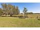 Expansive backyard view with lush green grass and mature trees along the perimeter at 1330 Bucktail Ct, Kissimmee, FL 34746