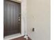 Close-up view of a modern front door with a minimalist decorative tree at 1330 Bucktail Ct, Kissimmee, FL 34746