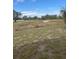 Expansive green backyard showcasing the open outdoor space and natural surroundings at 137 Willow Dr, Kissimmee, FL 34759