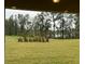 Relaxing view from the covered porch overlooking a large backyard with mature trees and water feature at 17792 Adrift Rd, Winter Garden, FL 34787