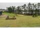 The grassy backyard provides a serene view of the lake and surrounding trees at 17792 Adrift Rd, Winter Garden, FL 34787