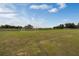 Spacious community soccer field with well-maintained grass and soccer nets at 2672 Gouda Dr, Apopka, FL 32703