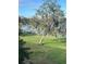 View of a backyard featuring a grassy lawn and a large shady tree near the lake at 620 Georgetown Dr # 620, Casselberry, FL 32707
