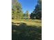 Large grassy backyard with scattered trees at 1805 Riley Ave, Orlando, FL 32805