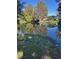 Pond on property with still water reflecting the surrounding trees at 1805 Riley Ave, Orlando, FL 32805