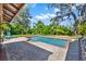 Backyard featuring a sparkling pool, brick patio, lush landscaping and plenty of privacy at 234 N Lakeview Ave, Winter Garden, FL 34787