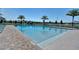 Community pool with chairs, umbrellas, and palm trees on a sunny day at 2680 Gouda Dr, Apopka, FL 32703