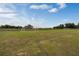 Community soccer field with two nets in manicured lawn on a sunny day at 2680 Gouda Dr, Apopka, FL 32703