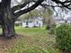 Exterior view shows home siding, windows and lush yard framed by a mature oak tree at 3420 Avenue R Nw, Winter Haven, FL 33881