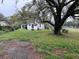 View of the home and yard, enhanced by a mature tree with Spanish moss and a spacious front yard at 3420 Avenue R Nw, Winter Haven, FL 33881