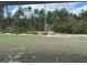 A backyard of a home has trees and grass at 4875 Sw 159Th Lane Rd, Ocala, FL 34473