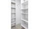 Walk-in closet features custom shelving at 11706 Regal Ridge Ln, Clermont, FL 34711