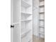 Walk-in closet features custom shelving at 11706 Regal Ridge Ln, Clermont, FL 34711
