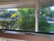 View from inside the house of Palm trees in the front yard at 217 Wilmer Ave, Orlando, FL 32811