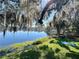 Scenic view of lakefront backyard with a relaxing rope swing hanging from a tree at 254 Sylvan Blvd, Winter Park, FL 32789