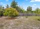 Backyard featuring mature trees and lawn and wooden fence at 1512 N Hastings St, Orlando, FL 32808