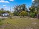 Green backyard featuring mature trees and lawn at 1512 N Hastings St, Orlando, FL 32808