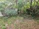 Overgrown backyard featuring an abundance of weeds, leaves, and debris at 39 N Oxalis Dr, Orlando, FL 32807