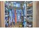 Walk-in closet with shelving for storage at 4532 Saddleworth Cir, Orlando, FL 32826