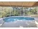 Serene screened pool with a peaceful outdoor view at 4532 Saddleworth Cir, Orlando, FL 32826