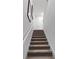 Carpeted staircase with white railing and walls leading to the upper level of the home at 2688 Gouda Dr, Apopka, FL 32703