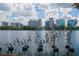 A serene view of a lake showcasing Orlando's skyline with bird sculptures adorning the foreground at 401 E Robinson St # 101, Orlando, FL 32801