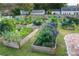 Community garden with various plants and flowers in raised beds at 401 E Robinson St # 101, Orlando, FL 32801