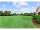 Expansive green lawn surrounded by lush trees offers privacy and space at 8614 Hata St, Orlando, FL 32827