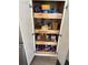 Well-organized pantry with pull-out shelves, filled with various food items at 10525 Satinwood Cir, Orlando, FL 32825