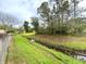 A view of the backyard with a narrow drainage ditch, lush green grass, and scattered trees at 142 Long Leaf Pine Cir, Sanford, FL 32773