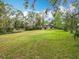 Expansive green backyard featuring a shed and natural landscaping, perfect for outdoor activities and relaxation at 15523 Old Cheney Hwy, Orlando, FL 32828