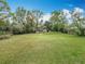 Expansive green backyard featuring a shed and natural landscaping, perfect for outdoor activities and relaxation at 15523 Old Cheney Hwy, Orlando, FL 32828