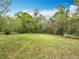 Large backyard, offering ample green space and mature trees for outdoor activities and privacy at 15523 Old Cheney Hwy, Orlando, FL 32828